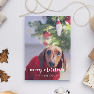 Modern Script Merry Christmas Photo Holiday Card