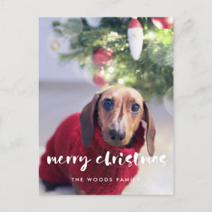 Modern script Merry Christmas photo Postcard
