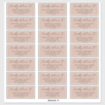 Modern Script Salmon Wedding Guest Address Labels<br><div class="desc">These modern script salmon wedding guest address labels are perfect for a minimalist wedding. The simple orange pink design features unique industrial lettering typography with modern boho style. Customisable in any colour. Customise each label with the name and address of your guests. 21 labels per sheet. Add each sheet that...</div>