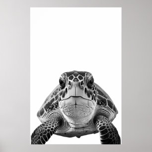 Modern Sea Turtle Portrait black white   Poster