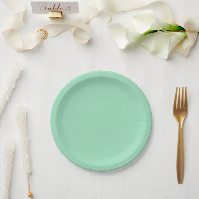 Modern Seafoam Green Plain Solid Colour Paper Plate (Wedding)