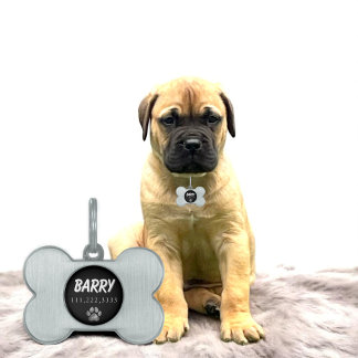 Modern Silver Bone Pet ID Tag with Black Accent