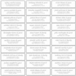 Modern Simple Chic Wedding Guest Names Address<br><div class="desc">Composed of simple sans serif and modern serif typography. These elements are simple,  elegant,  and modern. This has 30 stickers. 
 
 This is designed by White Paper Birch Co. exclusive for Zazzle.
 
 Available here:
 http://www.zazzle.com/store/whitepaperbirch</div>