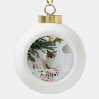 Modern Simple Classic at Name and Pet Photo Ceramic Ball Christmas Ornament