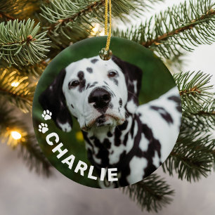 Modern Simple Pet Name and Photo Ceramic Tree Decoration