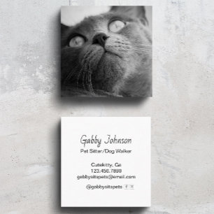 Modern Simple Pet Sitter Dog Walker Square Business Card