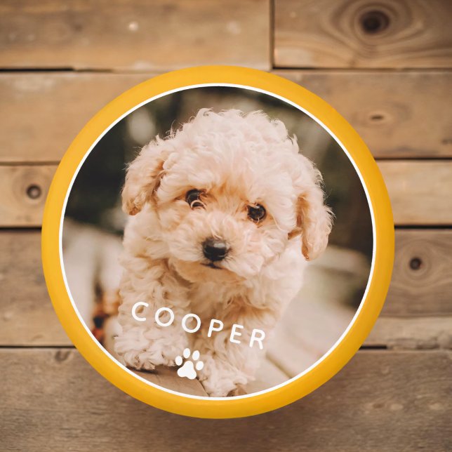 Modern Simple Playful Elegant Chic Paw Pet Photo Magnet (Creator Uploaded)