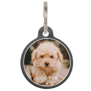 Modern Simple Playful Elegant Chic Paw Pet Photo Tag