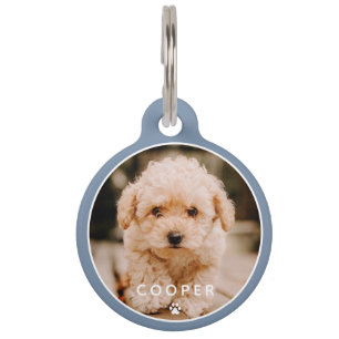 Modern Simple Playful Elegant Chic Paw Pet Photo Tag