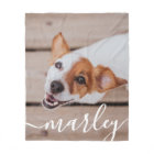 Modern Simple Playful Elegant Chic Pet Photo