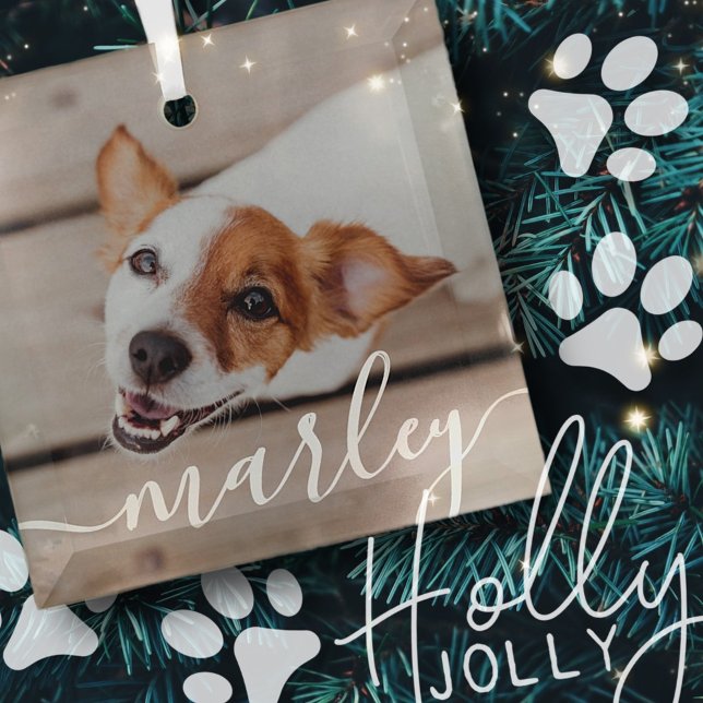Modern Simple Playful Elegant Chic Pet Photo Glass Tree Decoration (Creator Uploaded)