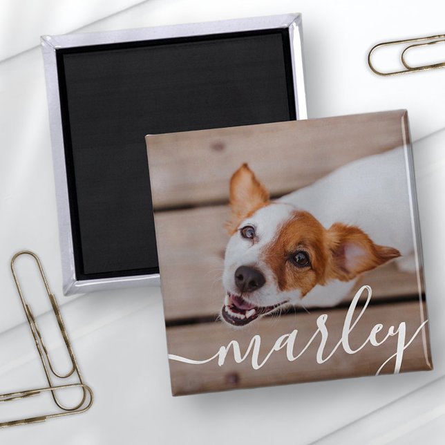 Modern Simple Playful Elegant Chic Pet Photo Magnet (Creator Uploaded)