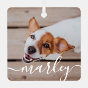 Modern Simple Playful Elegant Chic Pet Photo Metal Tree Decoration