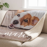 Modern Simple Playful Elegant Chic Pet Photo