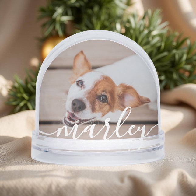 Modern Simple Playful Elegant Chic Pet Photo Snowglobe (Creator Uploaded)