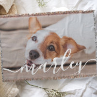 Modern Simple Playful Elegant Chic Pet Photo