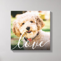 Modern Simple Script Love Pet Photo Memorial