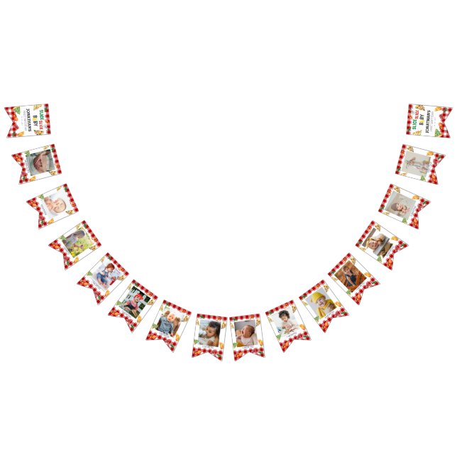 Modern Slice Slice Baby Pizza Photo Milestone Bunting (All)