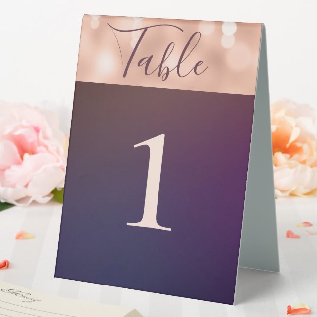 Modern Sparkling Burgundy Rose Gold  Wedding (In SItu (Wedding))