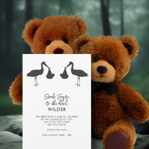 Modern Stork Twins Pregnancy Announcement Cards