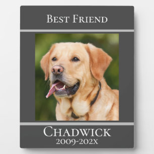 Modern Stylish Add Photo Pet Memorial Plaque