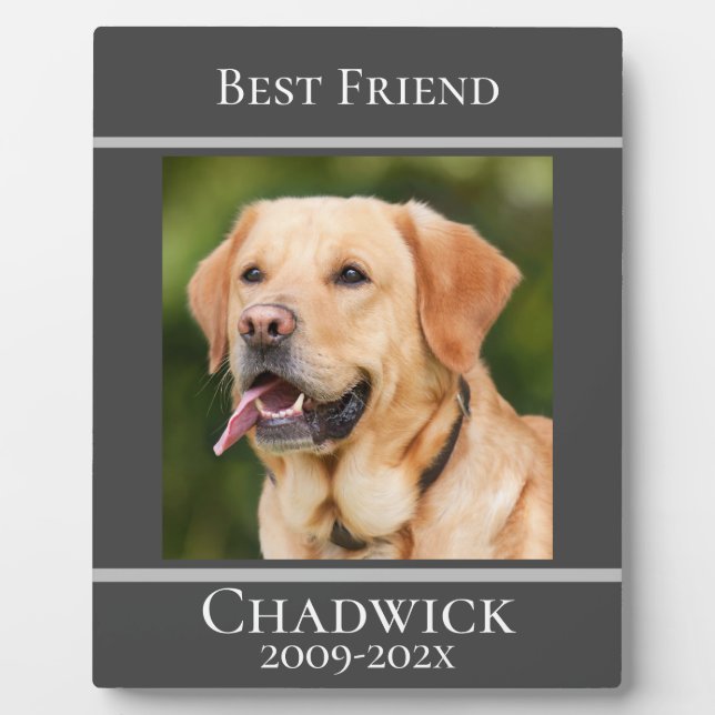 Modern Stylish Add Photo Pet Memorial  Plaque (Front)