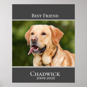 Modern Stylish Add Photo Pet Memorial  Poster