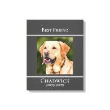 Modern Stylish Add Photo Pet Memorial  Poster