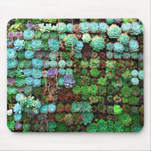 Modern Succulent Collection Green Botanical Mouse Mat