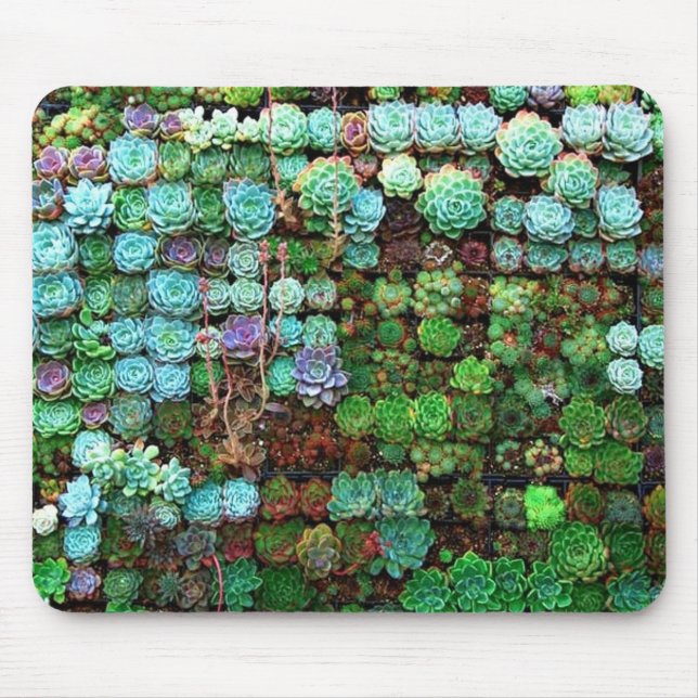 Modern Succulent Collection Green Botanical Mouse Mat (Front)