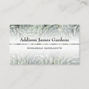 Modern Succulent Garden Green Botanicals Nursery Business Card