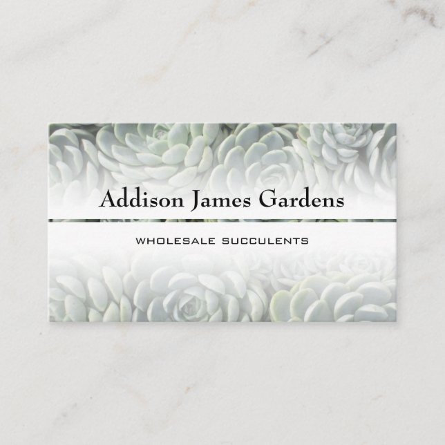 Modern Succulent Garden Green Botanicals Nursery Business Card (Front)