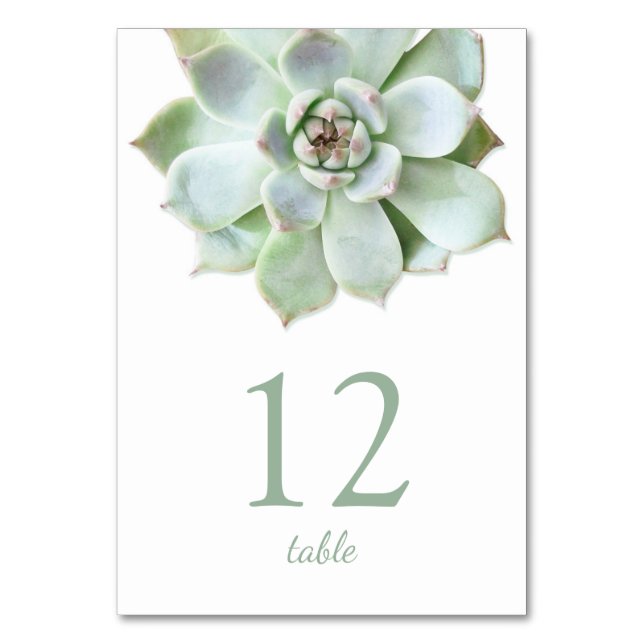 Modern Succulent Wedding Table Number (Front)