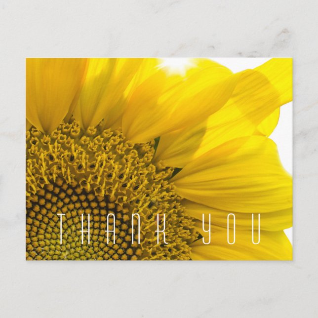 Modern Sunflower Thank You Name Postcard (Front)