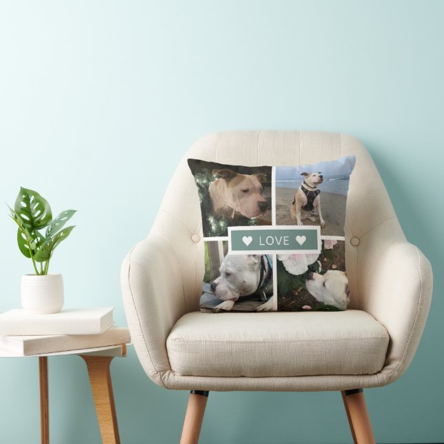 Modern Sympathy Pet Photos Collage Cushion (Chair)