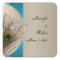 Modern Taupe Aqua Peacock Feather Envelope Seal
