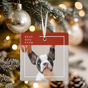 Modern Terracotta Red Best Dog Ever Photo Ceramic Ornament