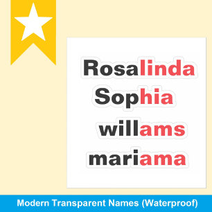 Modern Trend Transparent Waterproof Name Stickers