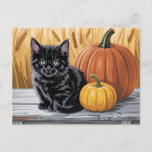 Modern Trendy Halloween Pumpkins and Black Cat Postcard