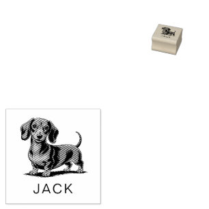 Modern Trendy Personalized Dachshund  Rubber Stamp