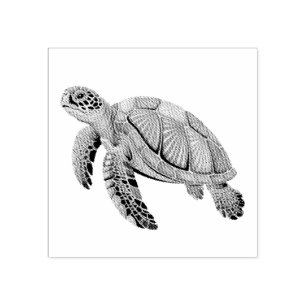 Modern Trendy Summer Sea Turtle Ocean Nautical     Rubber Stamp