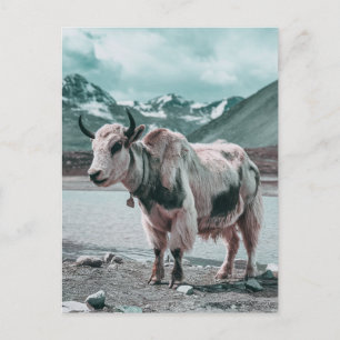 Modern Trendy yak animal Holiday Postcard