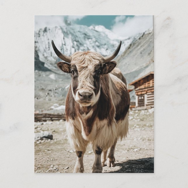 Modern Trendy yak animal Holiday Postcard (Front)