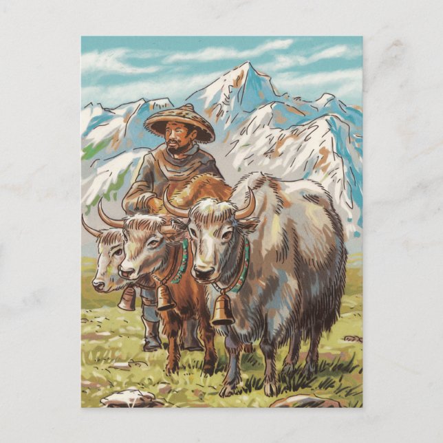 Modern Trendy yak animal Holiday Postcard (Front)