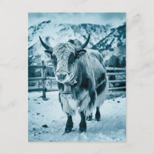 Modern Trendy yak animal Holiday Postcard