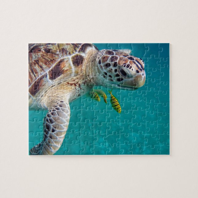 Modern Tropical Turtle Jigsaw Puzzle (Horizontal)