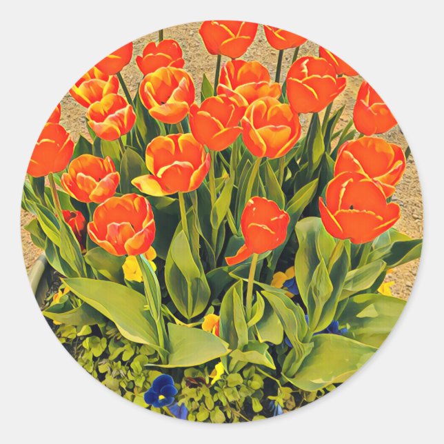 Modern tulips colourful orange classic round sticker (Front)