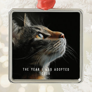Modern Type Cat Adoption Photo Keepsake Metal Tree Decoration