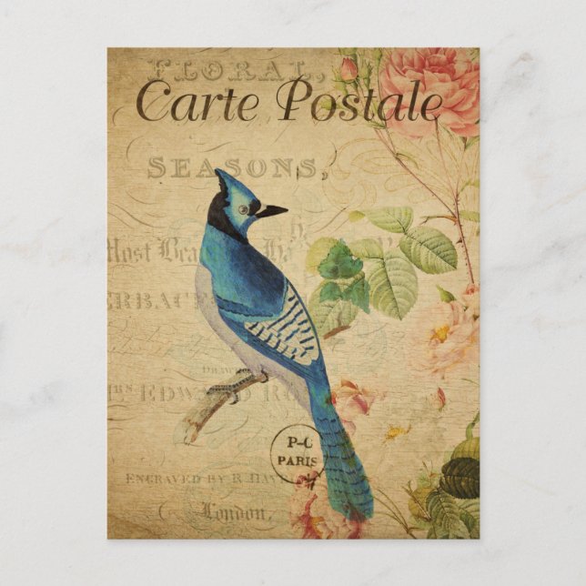 Modern Vintage Bird Floral collage art  Postcard (Front)