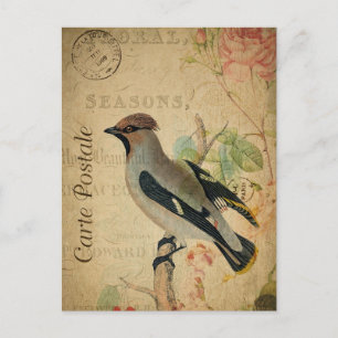 Modern Vintage Bird Floral collage art Postcard